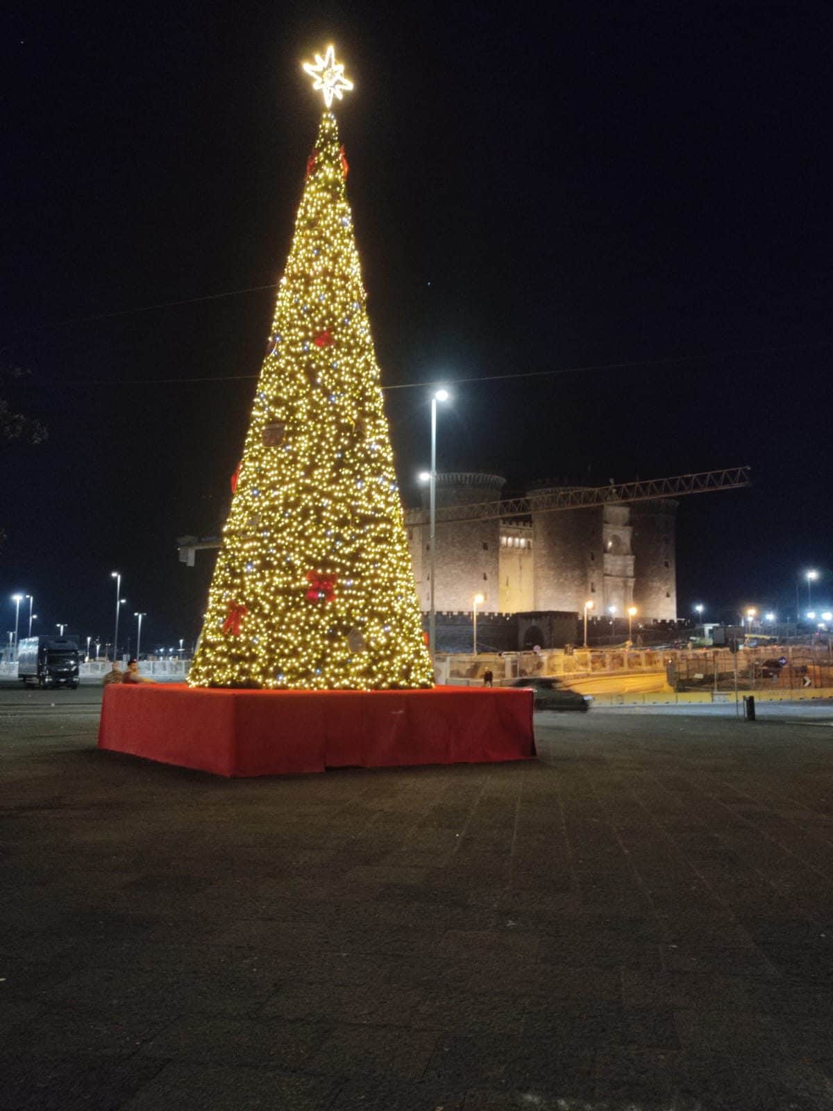 L'albero di Natale acceso in piazza Municipio