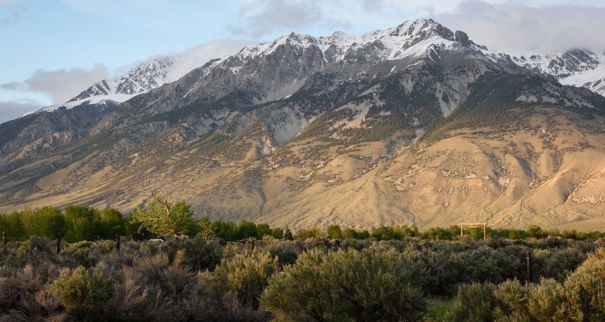 A sandy mountain with snow dusted top with brush in the foreground.