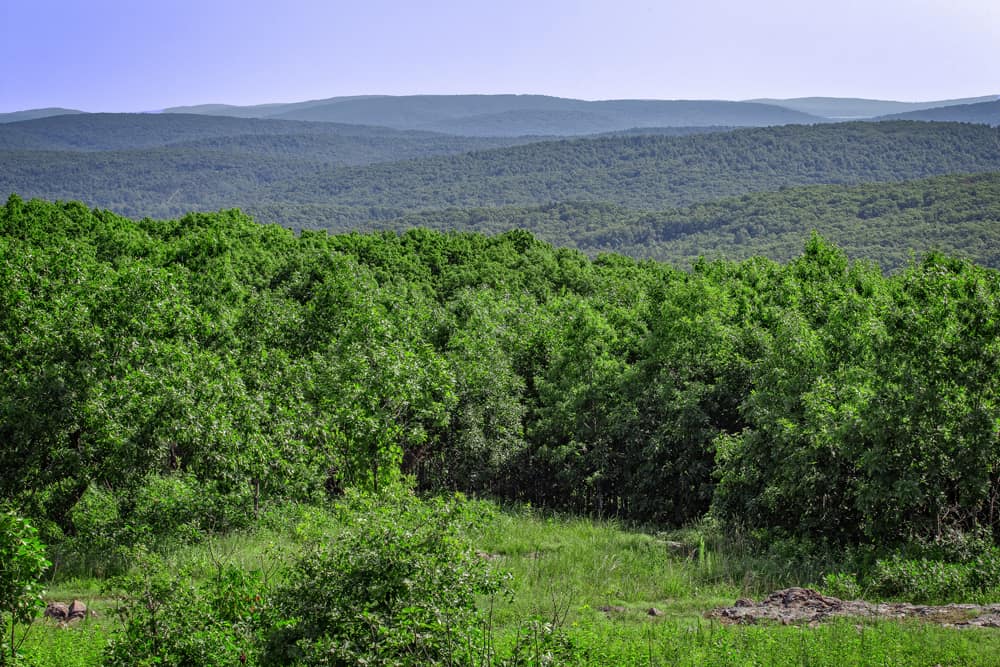 A view of the Eastern Ozarks from Taum Sauk Mountain, Missouri.