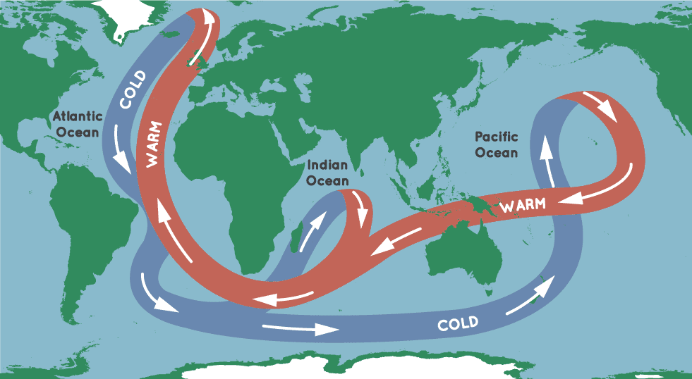 A map showing the major warm and cold ocean currents.