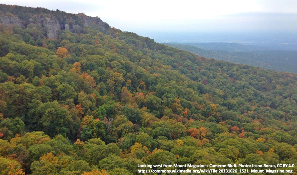 Looking west from Mount Magazine's Cameron Bluff. Photo: Jason Ronza, Wikimedia, CC BY 4.0