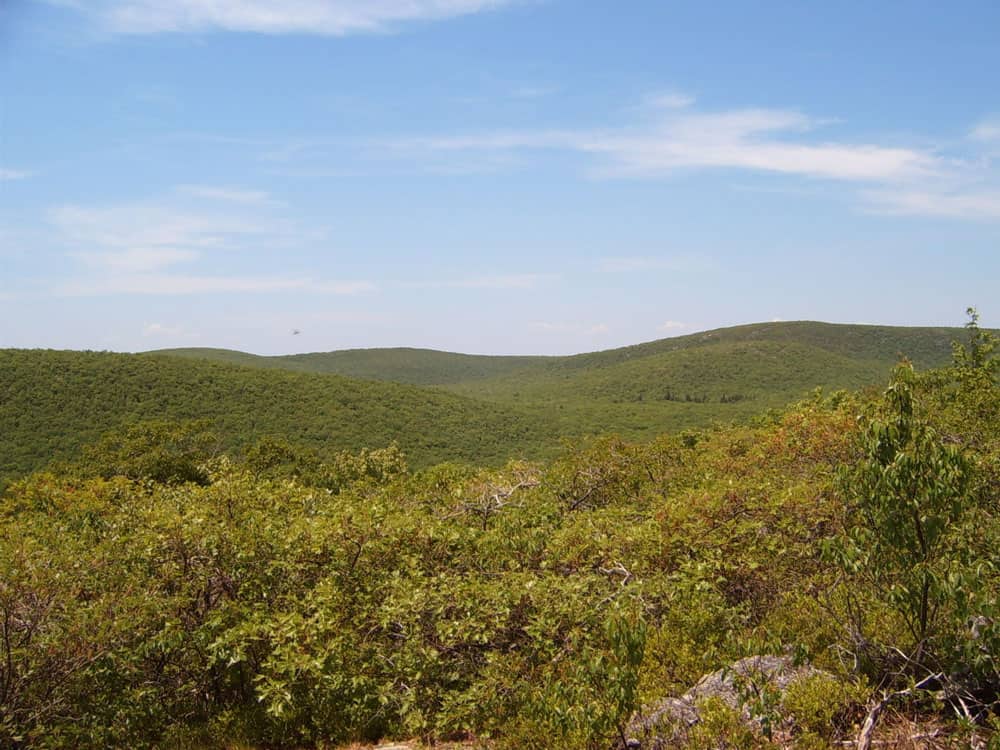 View of Mount Frissell from Bear Mountain.