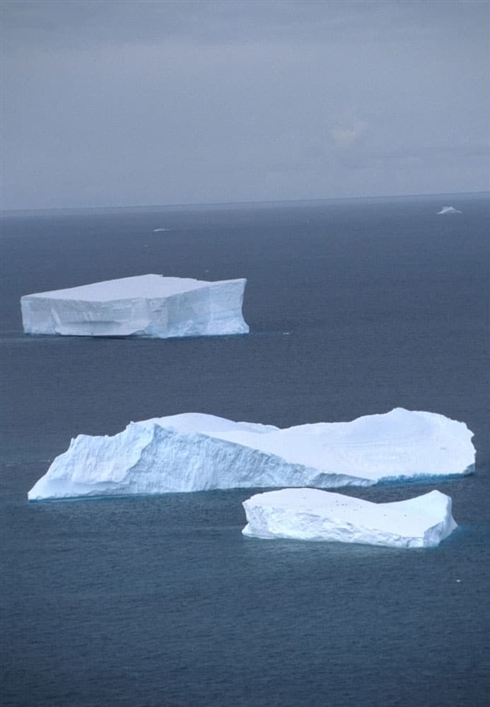 Tabular icebergs in the Southern Ocean. Photo: Mike Goebel, NOAA NMFS SWFSC Antarctic Marine Living Resources (AMLR) Program, 1992, public domain.