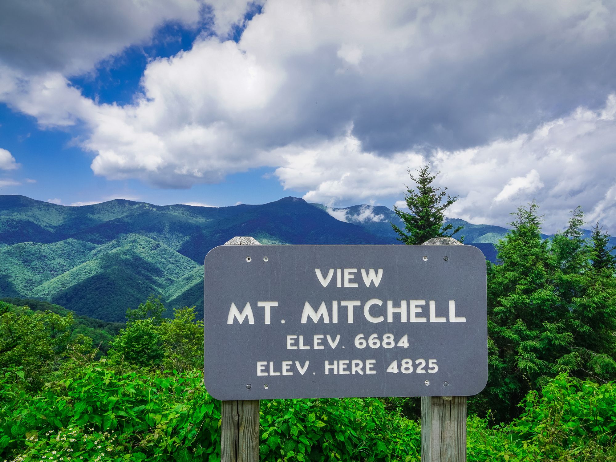 A brown sign stating View Mt. Mitchell against green forested mountain backdrop.