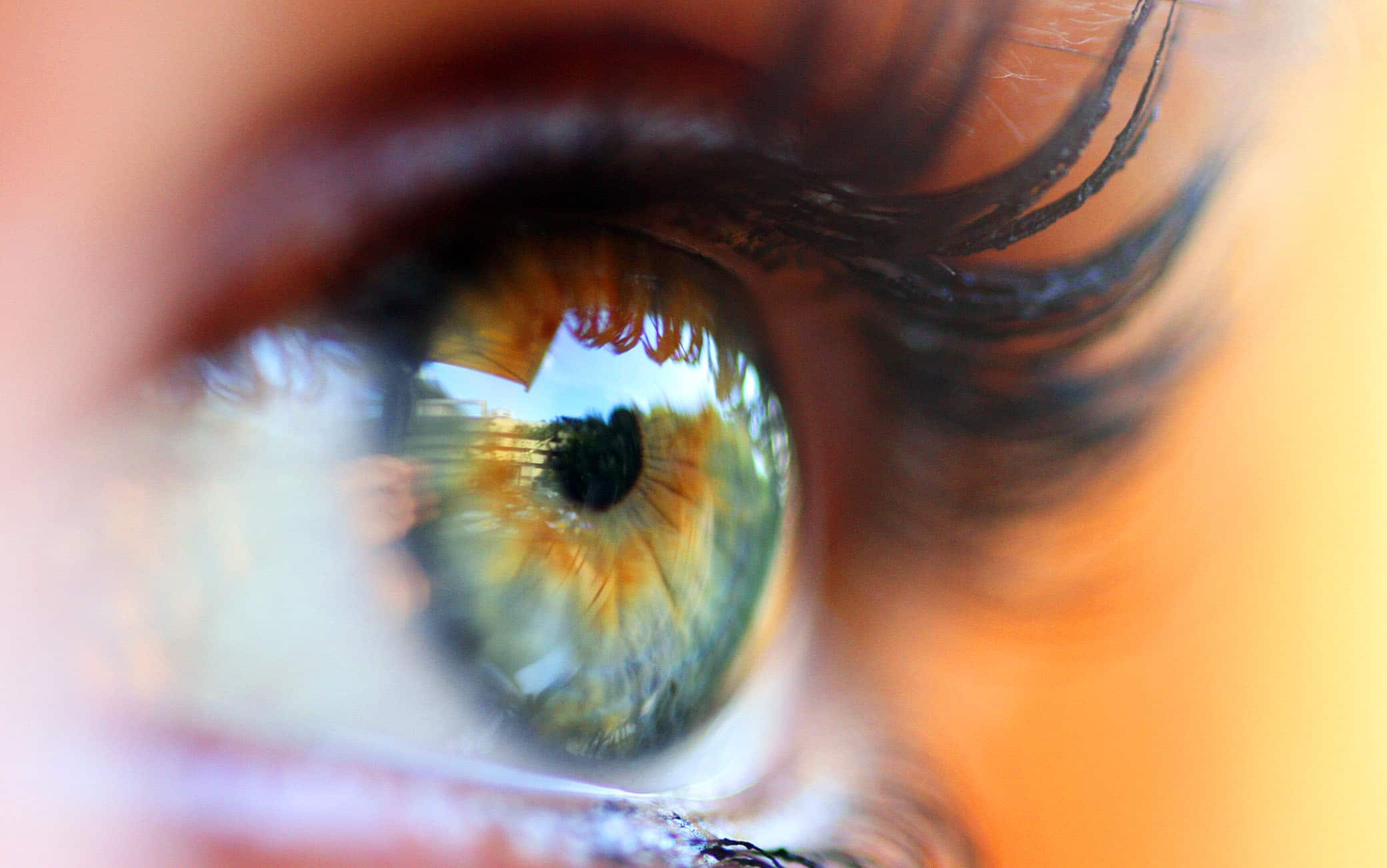 Eye, close-up, Amstelveen, Netherlands.