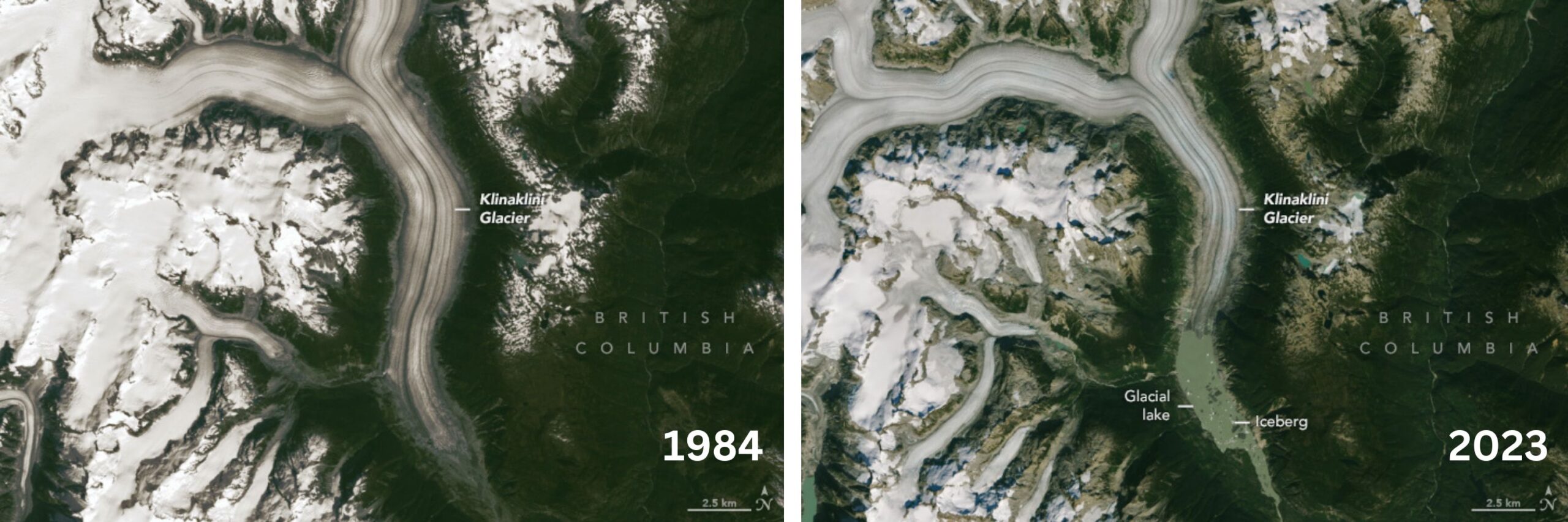 Side by side satellite images showing how a glacier has change between 1984 and 2023.