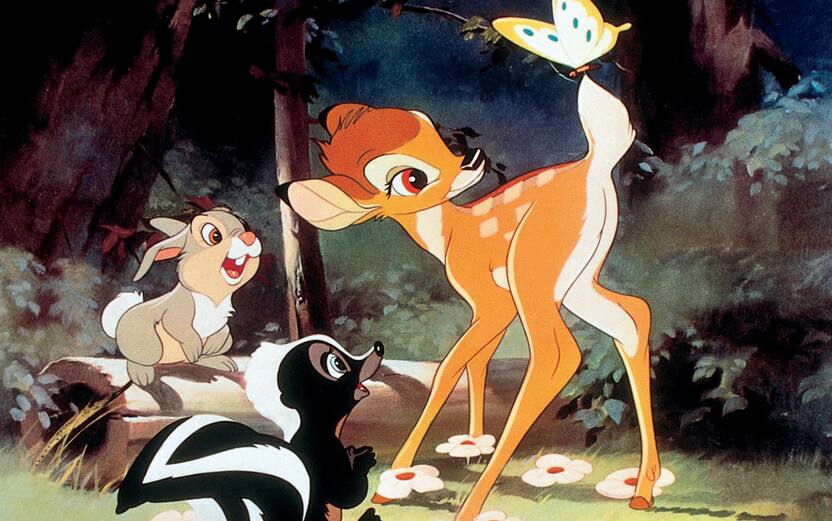 bambi-wp