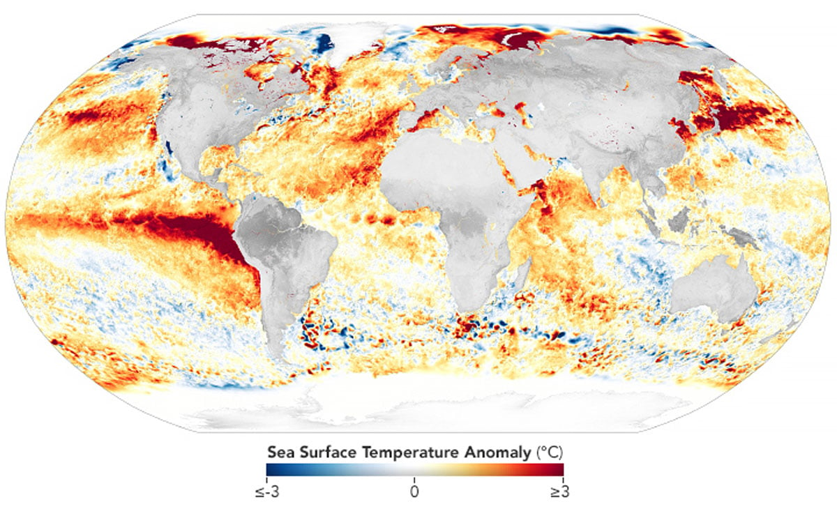 A blue to yellow to red color gradient showing areas of the ocean much warmer than average (red) and cooler than average (blue).