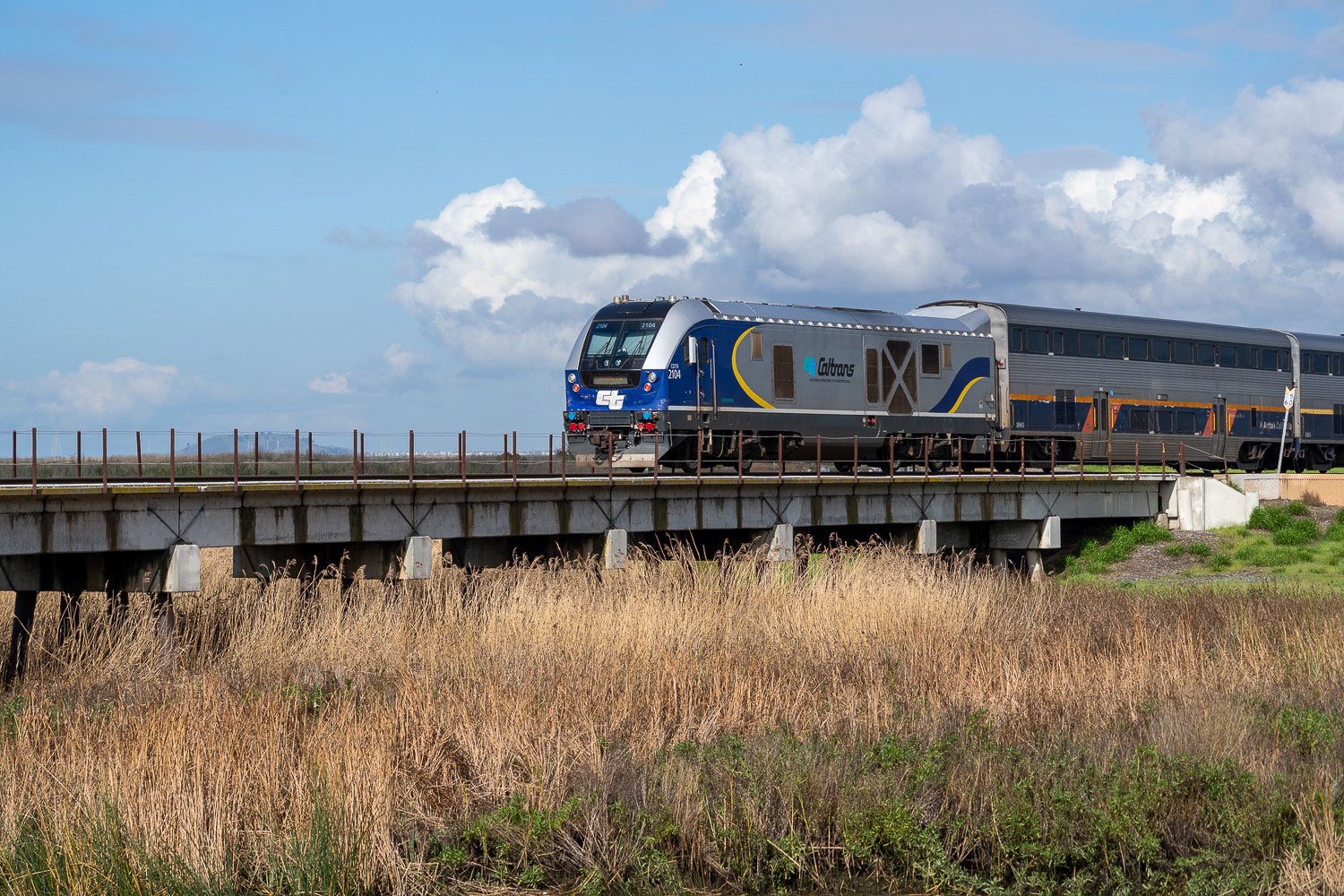 A train passing through a marsh.