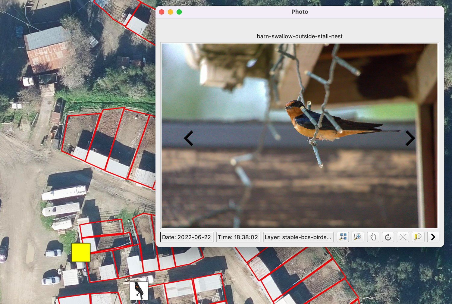 Screenshot showing a view of a geotagged photo in QGIS.