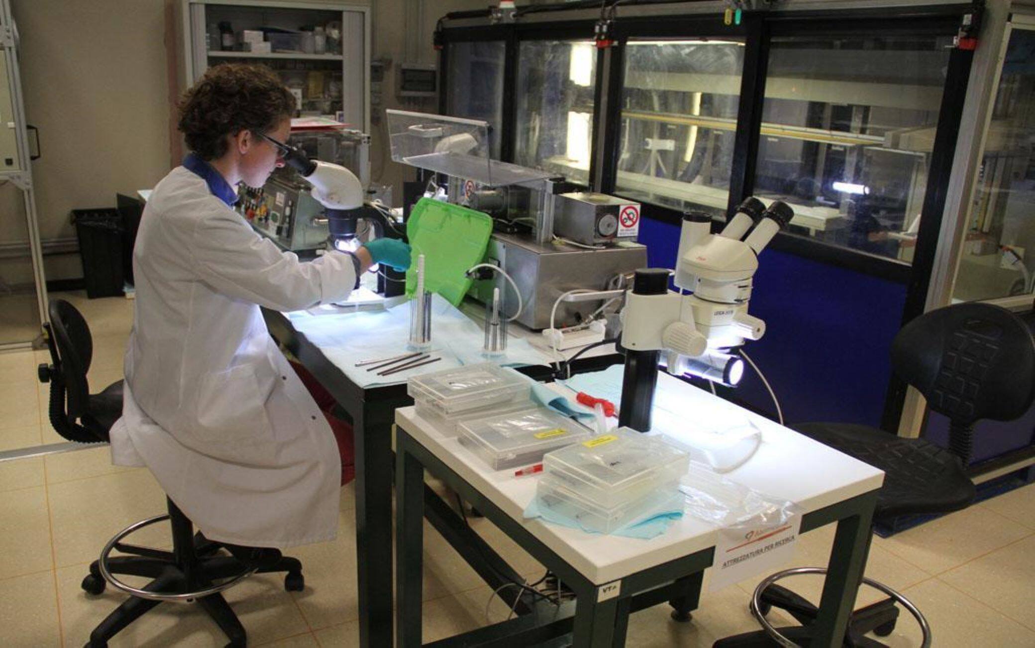 laboratorio_ansa