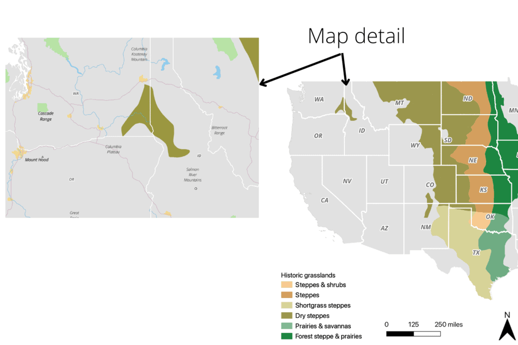 A cropped view of a map to show what detail an inset map can add.