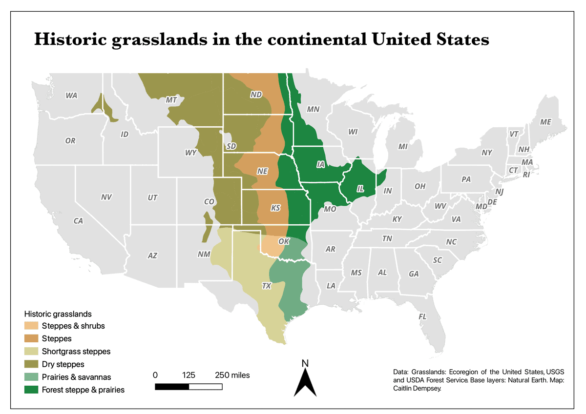 A simple map showing the extent of historical grasslands in the United States. The areas not covered by grasslands are a light gray. The areas of the continental United States with grasslands are in shades of yellows, browns, and greens.