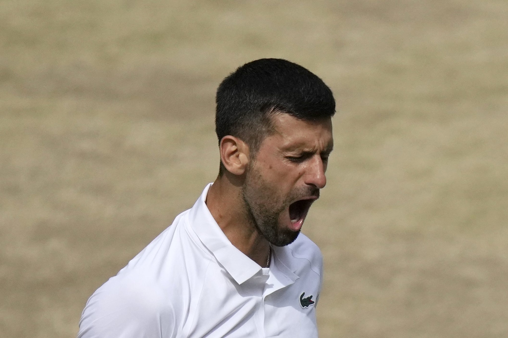 La ferocia agonistica di Novak Djokovic durante la finale di Wimbledon contro Alcaraz