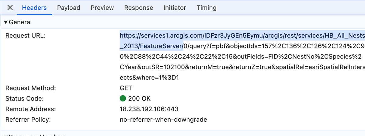 Screenshot showing the feature server URL string in Chrome.