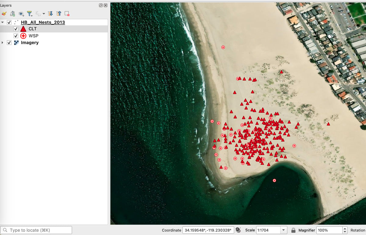 Screenshot from QGIS showing a satellite image of a beach with red dots and triangles for types of nesting sites.