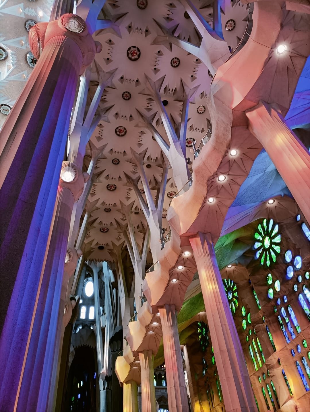 L'interno della Sagrada Familia dell'architetto Antoni Gaudì.