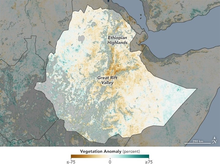 map is based on data from the Moderate Resolution Imaging Spectroradiometer (MODIS) on NASA’s Aqua satellite. The map shows the NDVI anomaly: it contrasts vegetation health from March 29 to April 5, 2016, relative to the long-term average from 2000–2015. Brown areas show where plant growth, or “greenness,” was below normal. Greens indicate vegetation that is more widespread or abundant than normal for the time of year. Grays depict areas where reliable data were not available, usually due to cloud cover. Source: NASA