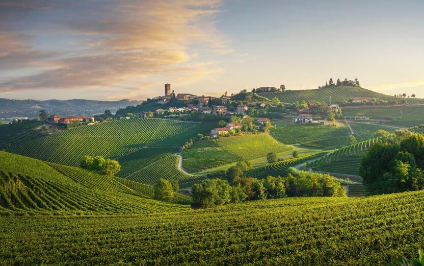 paesaggio delle langhe