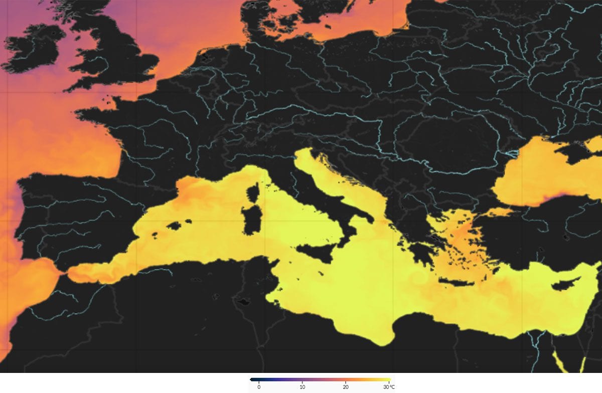 Temperatura del Mar Mediterraneo il 15 agosto / Credit: Data Marine Copernicus